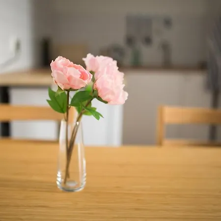 شقة Fullhouse - Halle - T28 - Lion *