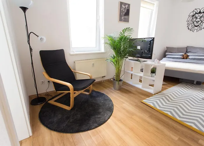 Fullhouse - Halle - T28 - Lion Daire *